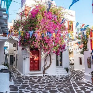 Meet your Posher, Nora